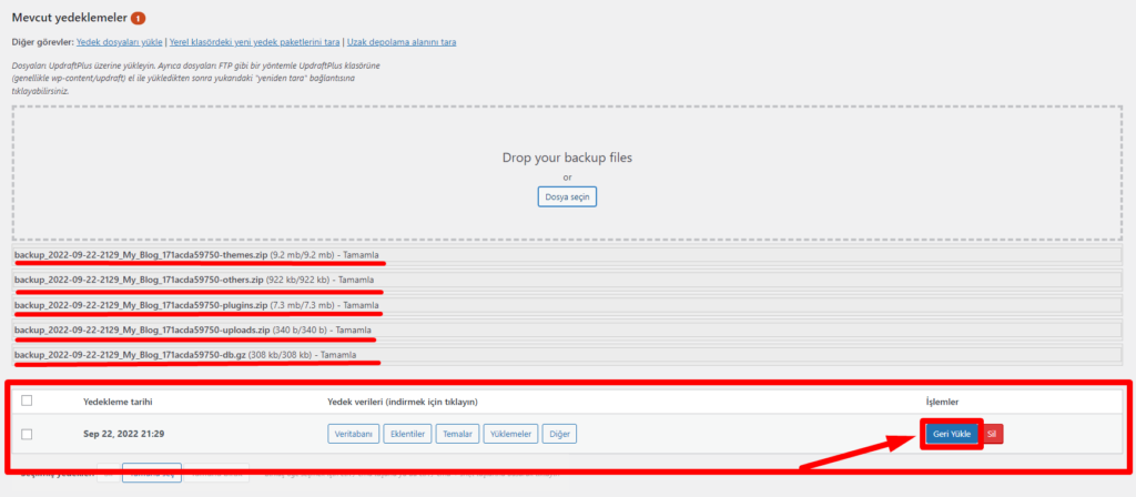 WordPress site taşıma, site klonlama